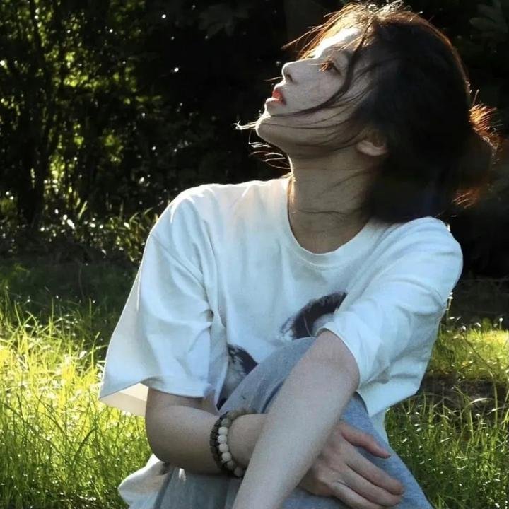 喵星少年漂流记