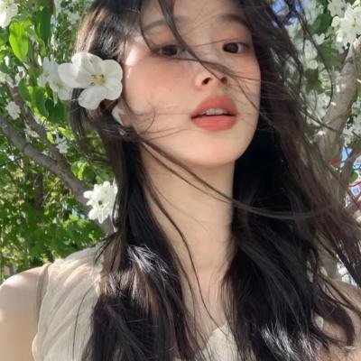 灵书妙探第七季
