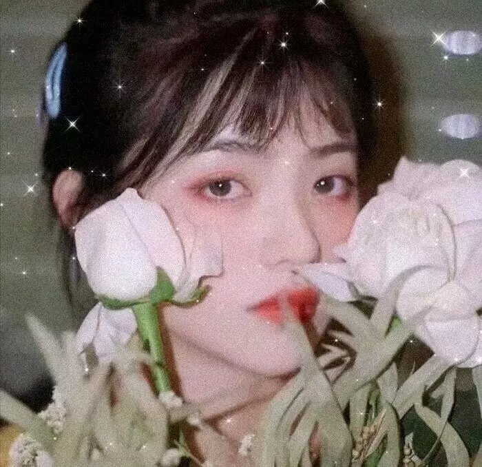 兔仙王妃